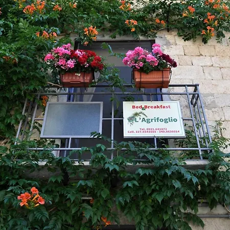 L'agrifoglio * Petralia Sottana